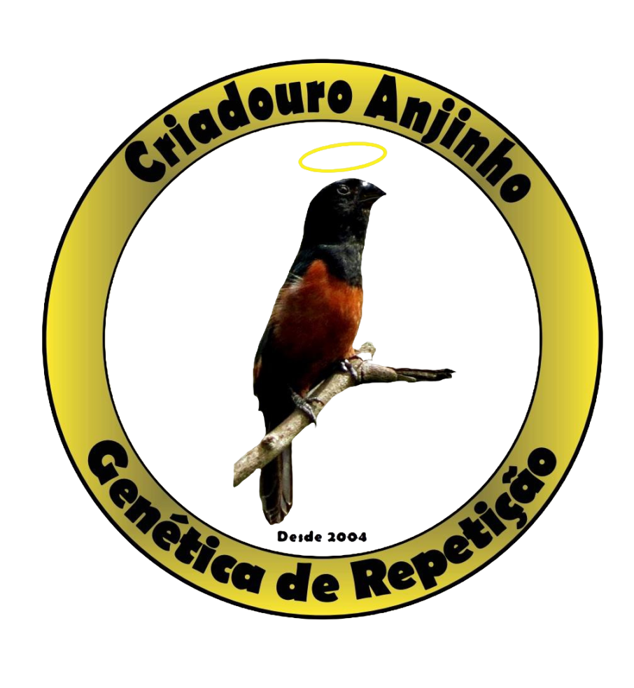 CRIADOURO ANJINHO